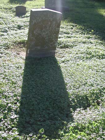 P9060038