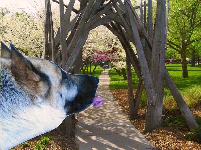 1lickthepark