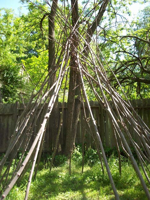 garden2001a