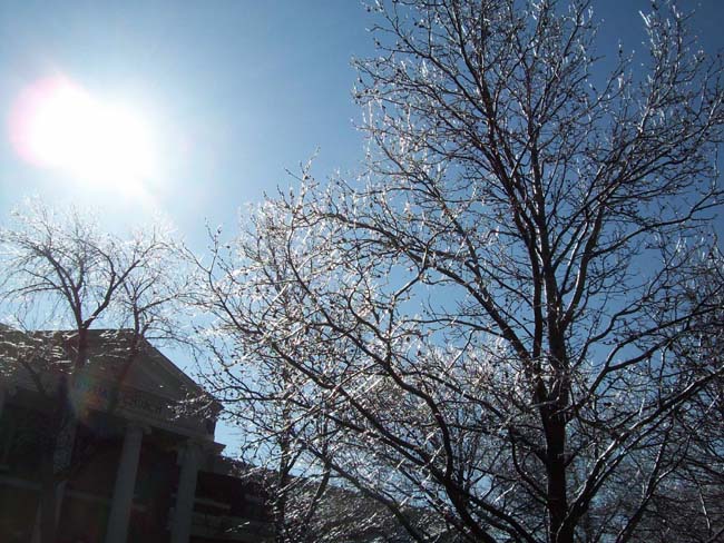 spring4ice032