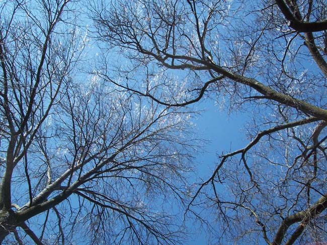 spring4ice064