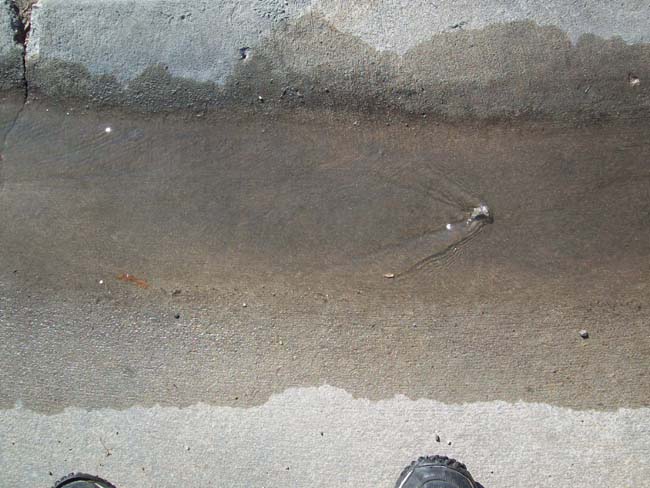 spring4ice074
