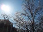 spring4ice032