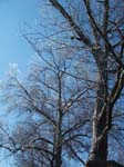 spring4ice061