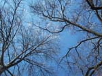 spring4ice064