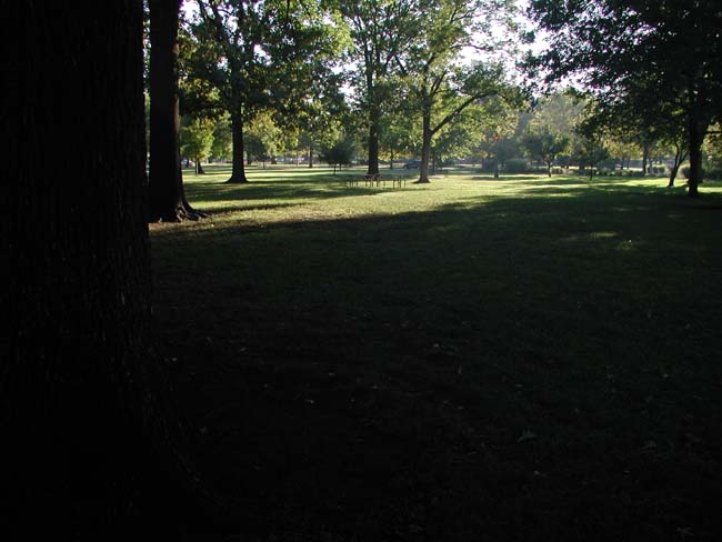 P1010010