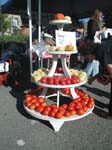 P1010042