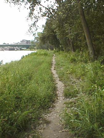 psn200013