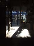 gallery1