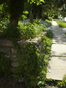 thm_PSN00002.jpg