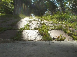 thm_PSN00006.jpg