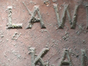 thm_PSN00026.jpg