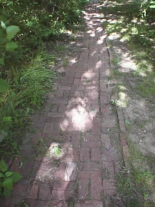 thm_PSN00029.jpg