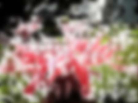 blur