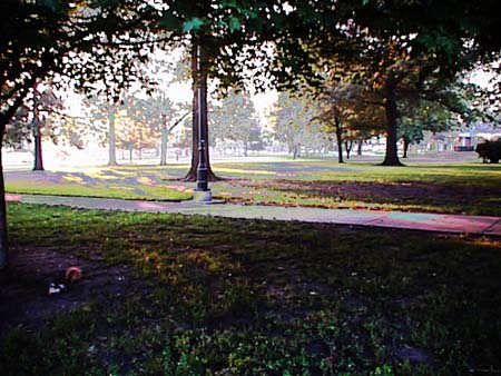 parkmornpastel