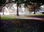 parkmornpastel