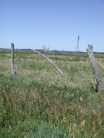 P1010011