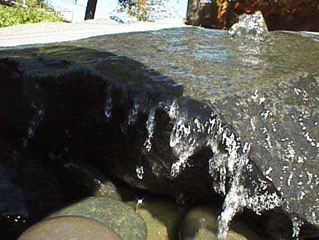 psn00014