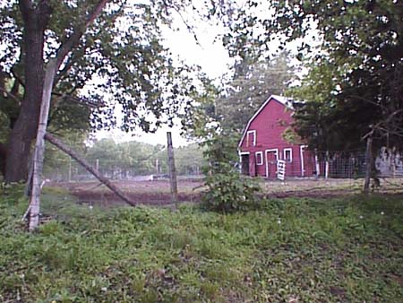 psn04240