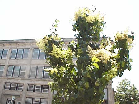 psn04311