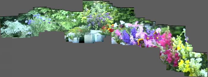 thm_FLOWERS.jpg