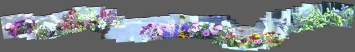 thm_FLOWERSLONGER.jpg
