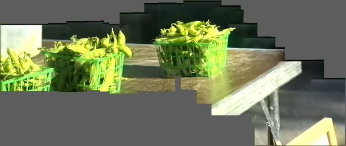 thm_SNOWPEAS.jpg