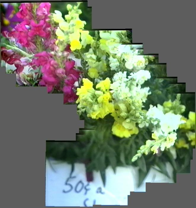 thm_TWOBITFLOWER.jpg