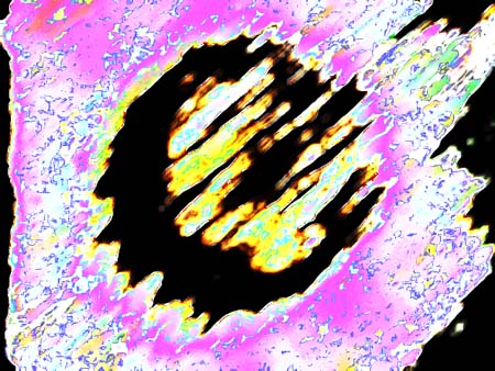 purplewarp