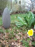 spring2011