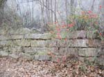 spring2012