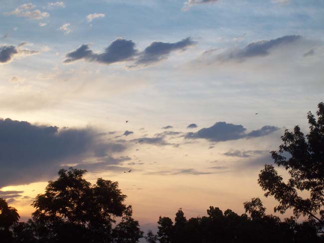 stepupsunrise020