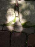 morningfree021
