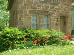 spring2010006