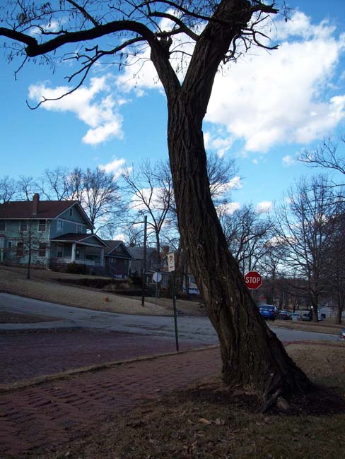 walkdowntown026