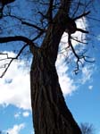 walkdowntown021