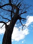 walkdowntown023