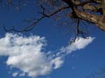 walkdowntown024