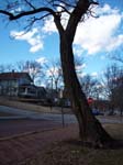 walkdowntown026