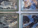 walkdowntown048